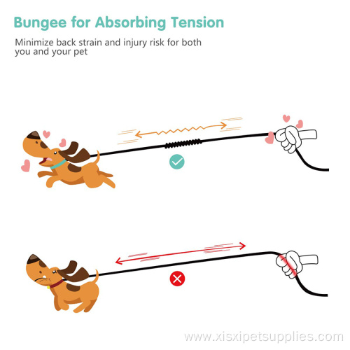 Dog Leash with Soft Handle and Comfortable Shock